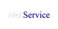 Net Service